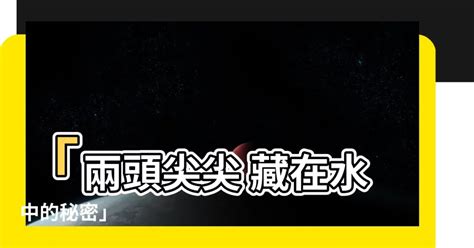 兩頭尖尖 藏在水中|船的两头为什么都是尖尖的？